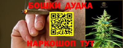 твердый Партизанск