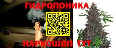 2c-b Пенза