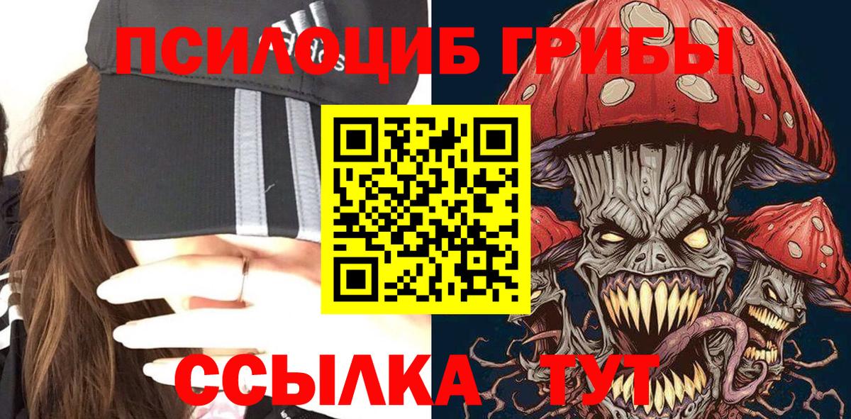 Биробиджан  Галлюциногенные грибы GOLDEN TEACHER  наркошоп  Вход с VPN 